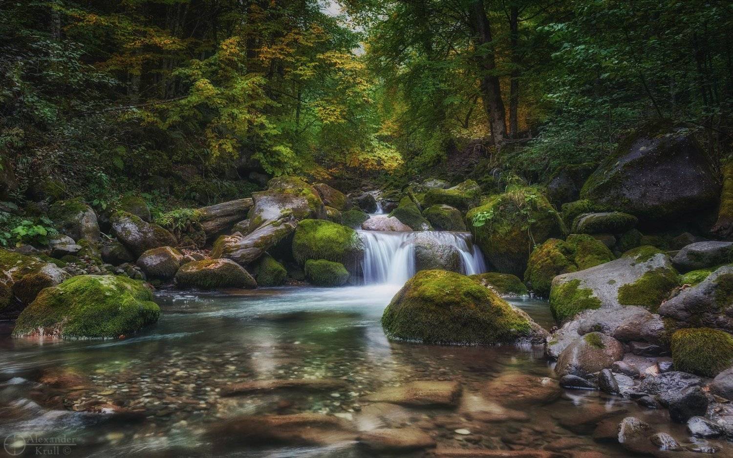 , Александр Круль