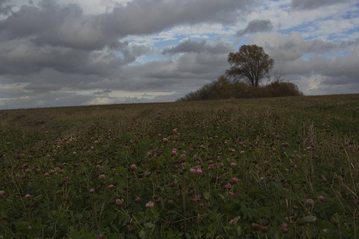 Пейзаж,золотая осень река, Каранов Николай