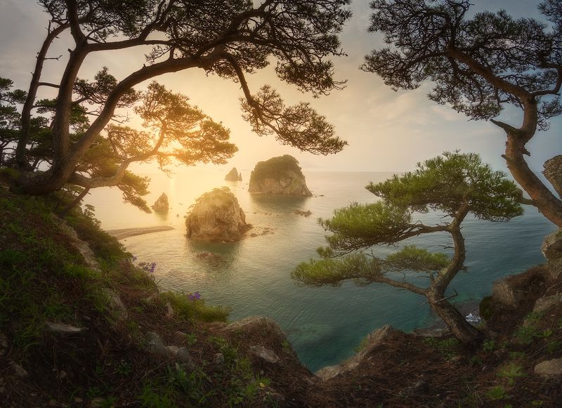 приморский край, заповедник, рассвет, море, солнце Заповедные мотивы фото превью