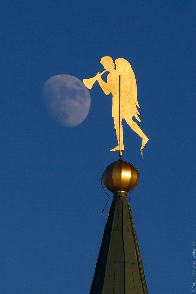 moon, Тимофей Шутов