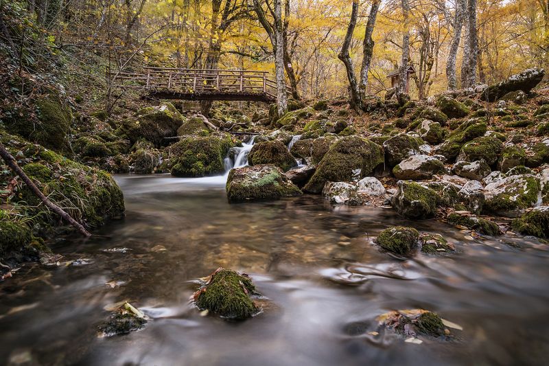 autumn, forest, river, bulgaria River in autumn in the forest фото превью