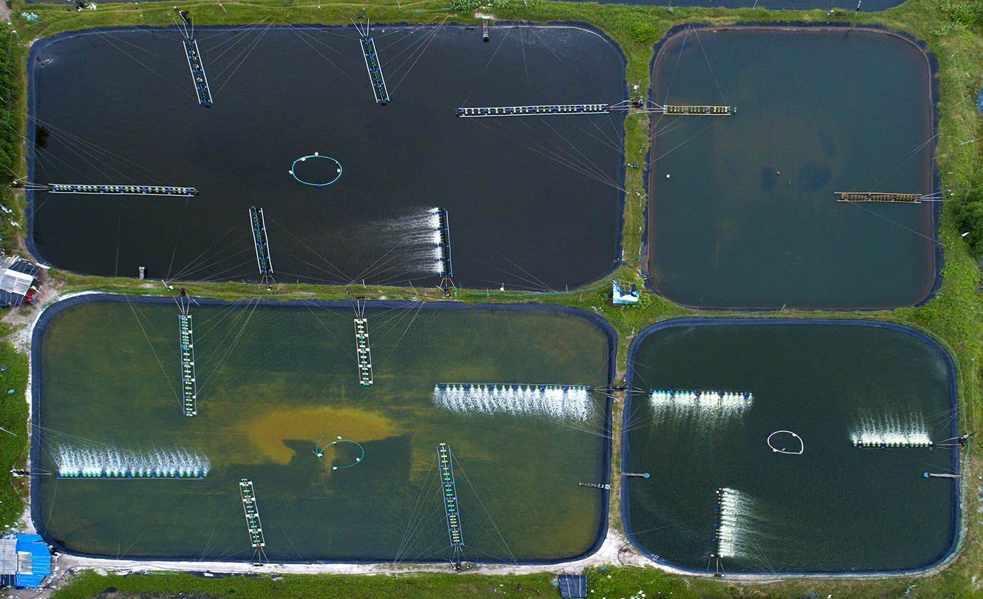 Вьетнам, Ке Га, пруды, ферма, морепродукты, дрон, аэро, aerial, Борис Резванцев