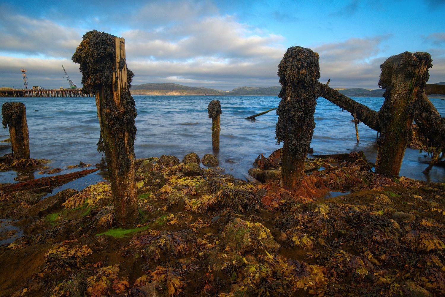 россия, кольский полуостров, север, териберка, природа, пейзаж, осень, море, закат, сумерки, вода, волна, камни, длинная выдержка, Оборотов Алексей