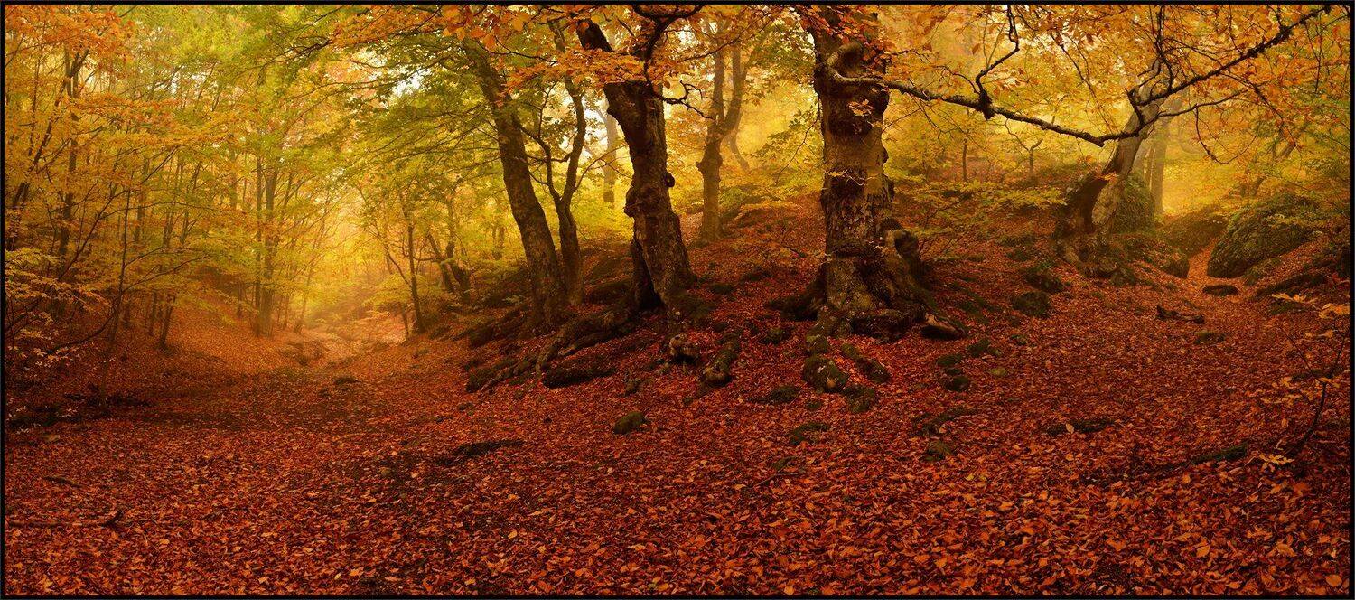 , Владимир Метцгер