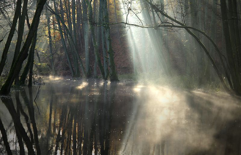 ...  фото превью