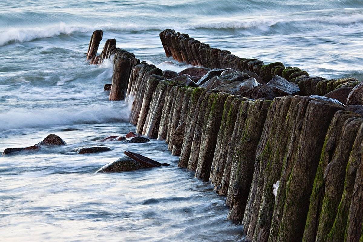 , Геннадий Новов