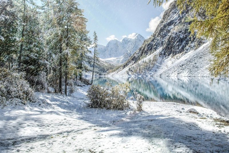 алтай,осень \