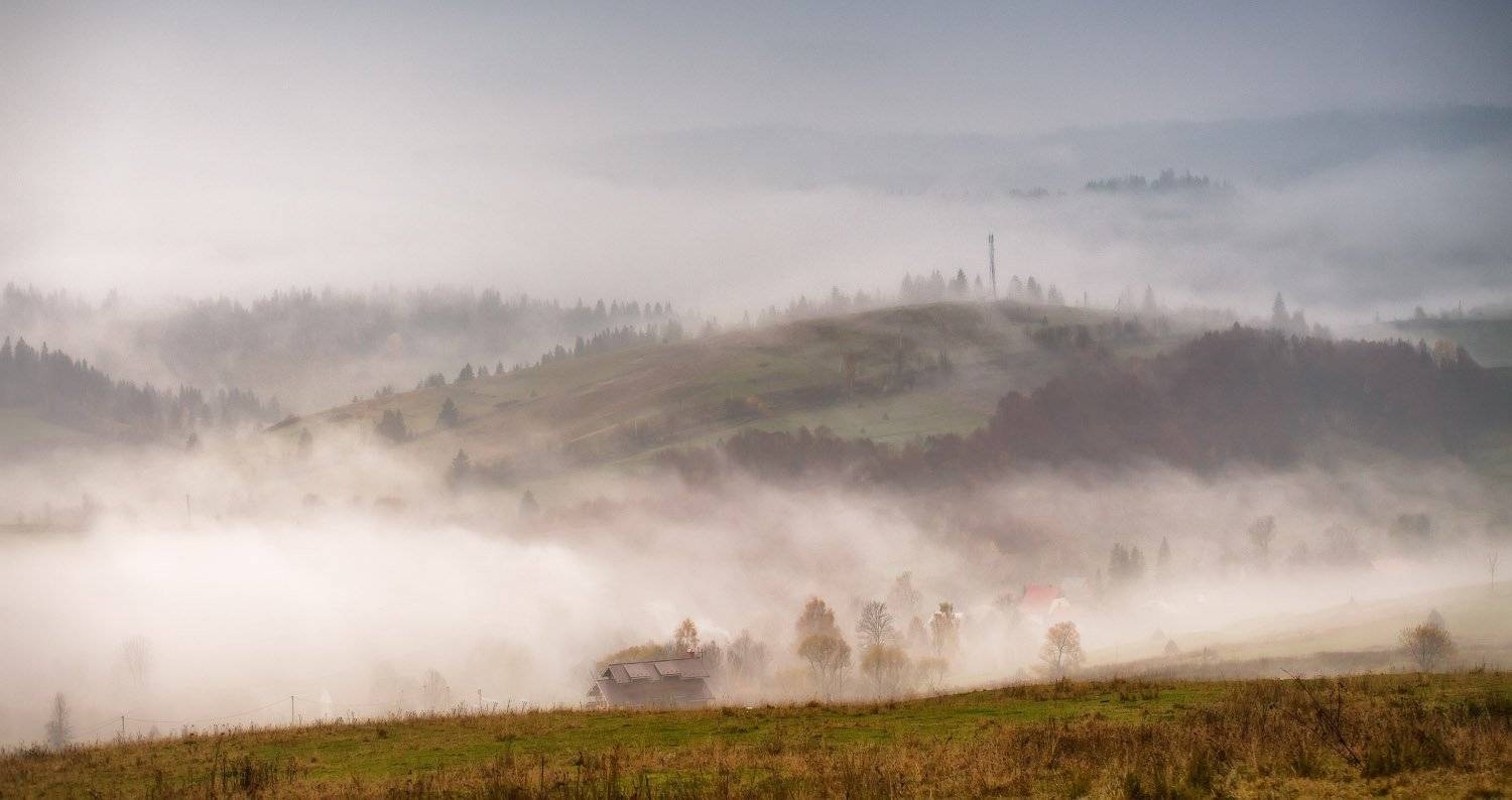 горы, карпаты, октябрь, осень, пилипец, туман, утро, Вейзе Максим