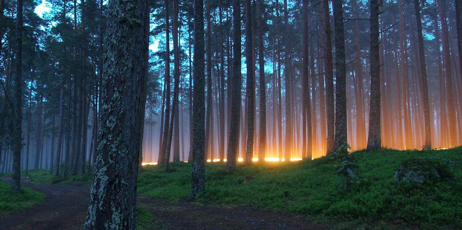 ладога, Тимофей Шутов