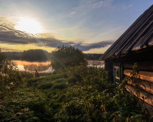Утро в Вепсском лесу