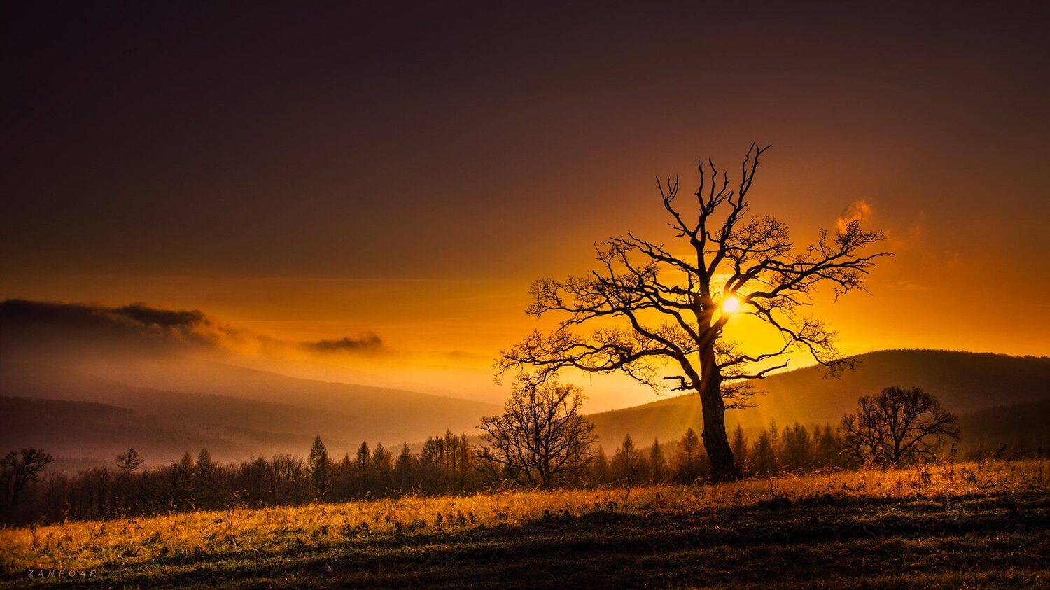 sunset, sun, tree, soliter,white carpathians, zanfoar, czech republic, nikon,чехия, Zanfoar