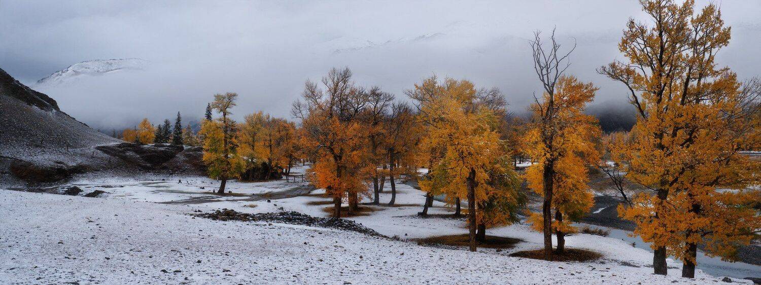 алтай, горы, осень, Владимир Ляпин