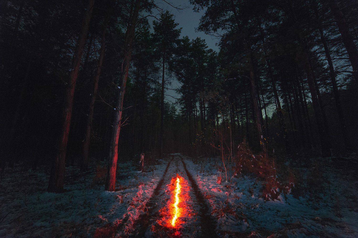 ночь, лес, длинная выдержка, Артемий Тузов