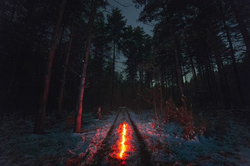 Ночь, тишина и призрачный свет