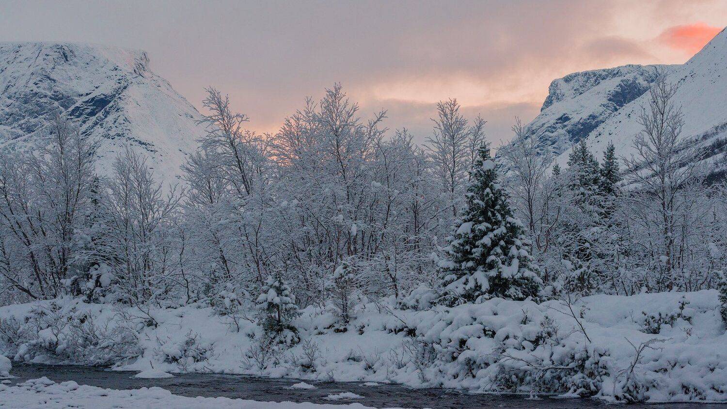хибины, предзимье, осень, кольский, север, заполярье,, Роман Горячий