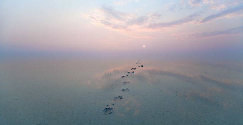 Долгая дорога к солнцу фото превью