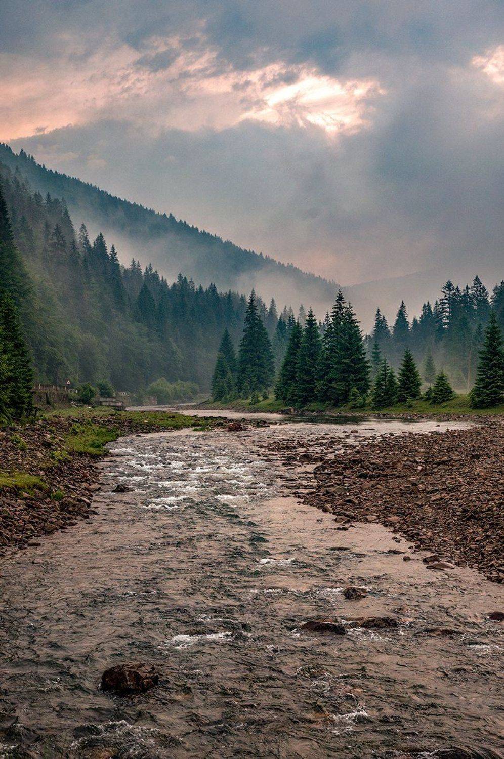 , Леонид Закревский