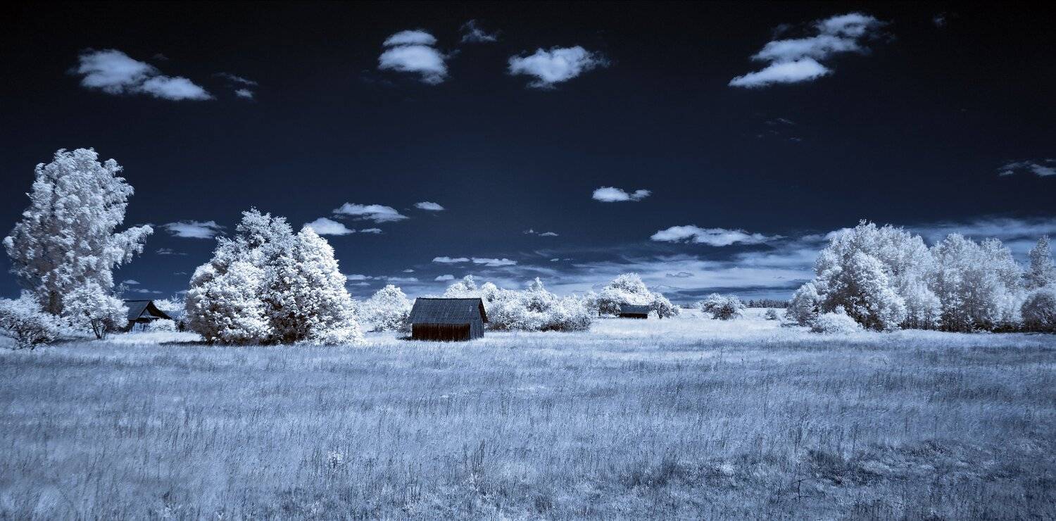 infrared,ик-фото,инфракрасное фото,инфракрасная фотография,пейзаж,природа,беларусь,лето, Sixten ( Сергей )