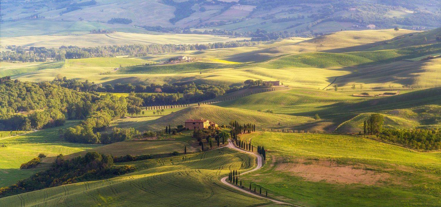 , Денис Демков