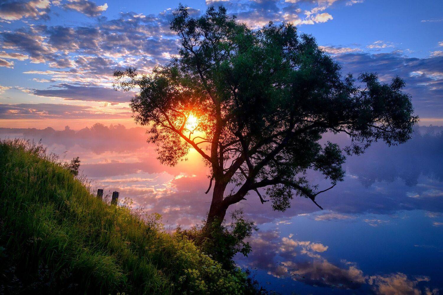 пейзаж, рассвет, утро, река, отражения, трава, дерево, небо, синий, Андрей Чиж
