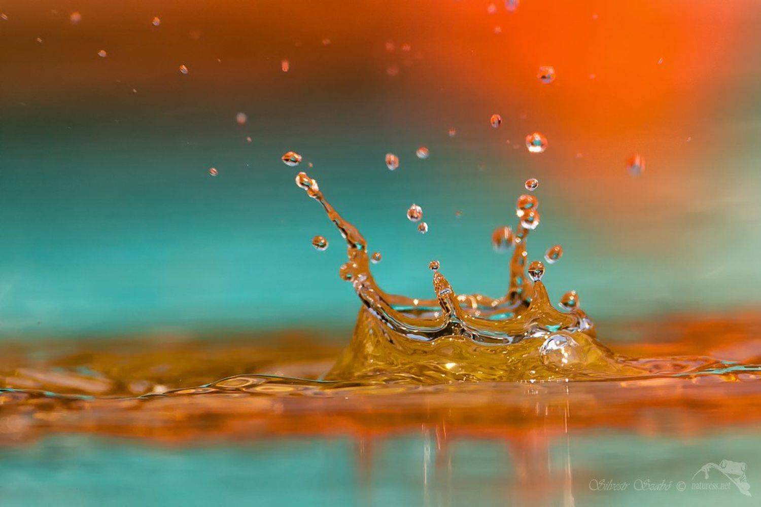 , Silvestr Szab&oacute;