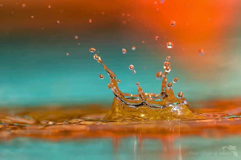 kapka фото превью