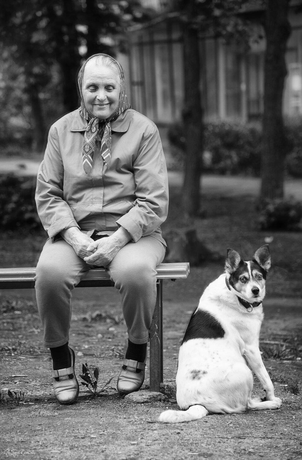женщина,собака,город,улица,скамейка, Roma  Chitinskiy