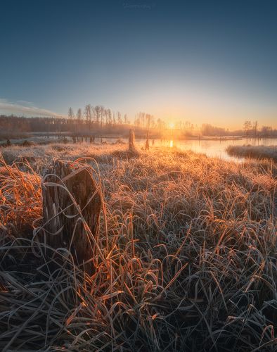 Морозное утро