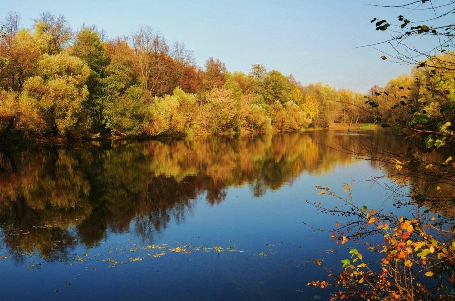 осень пейзаж  парк, Марина Орлова