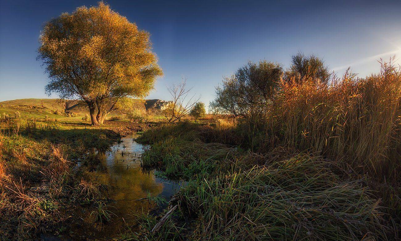 , Игорь Мелекесцев