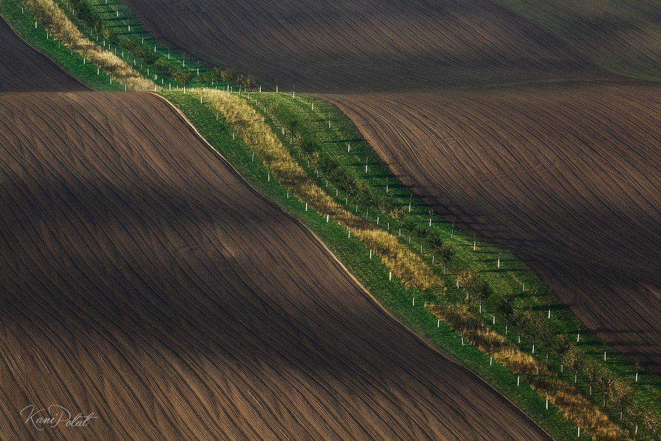 , Kani (kanipolat.com) Polat