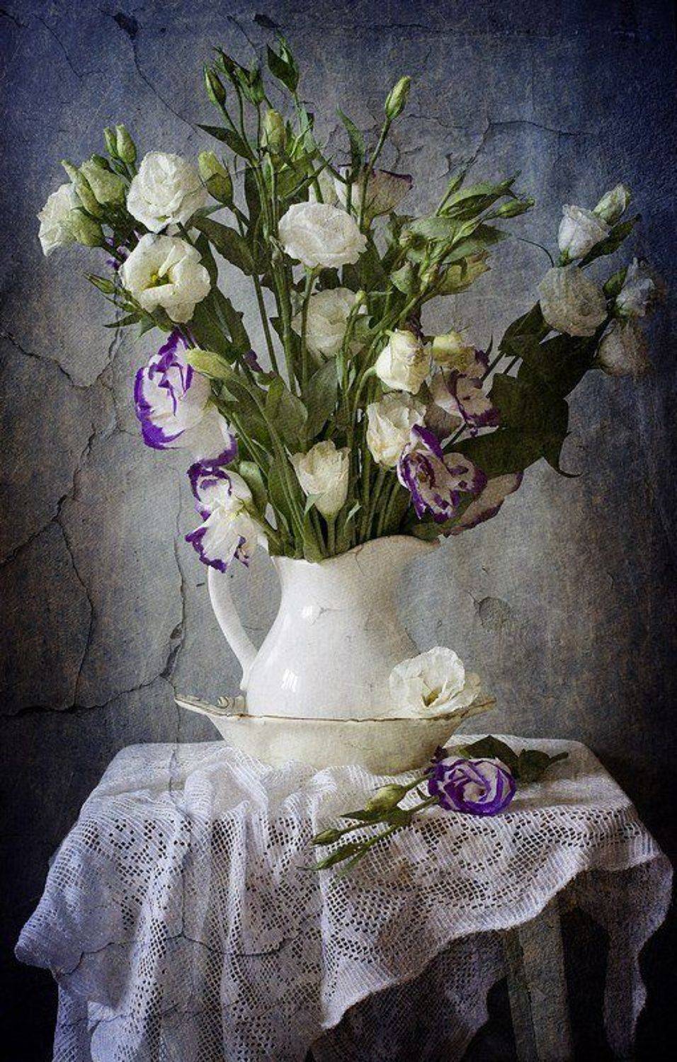 , Синегубова Ольга