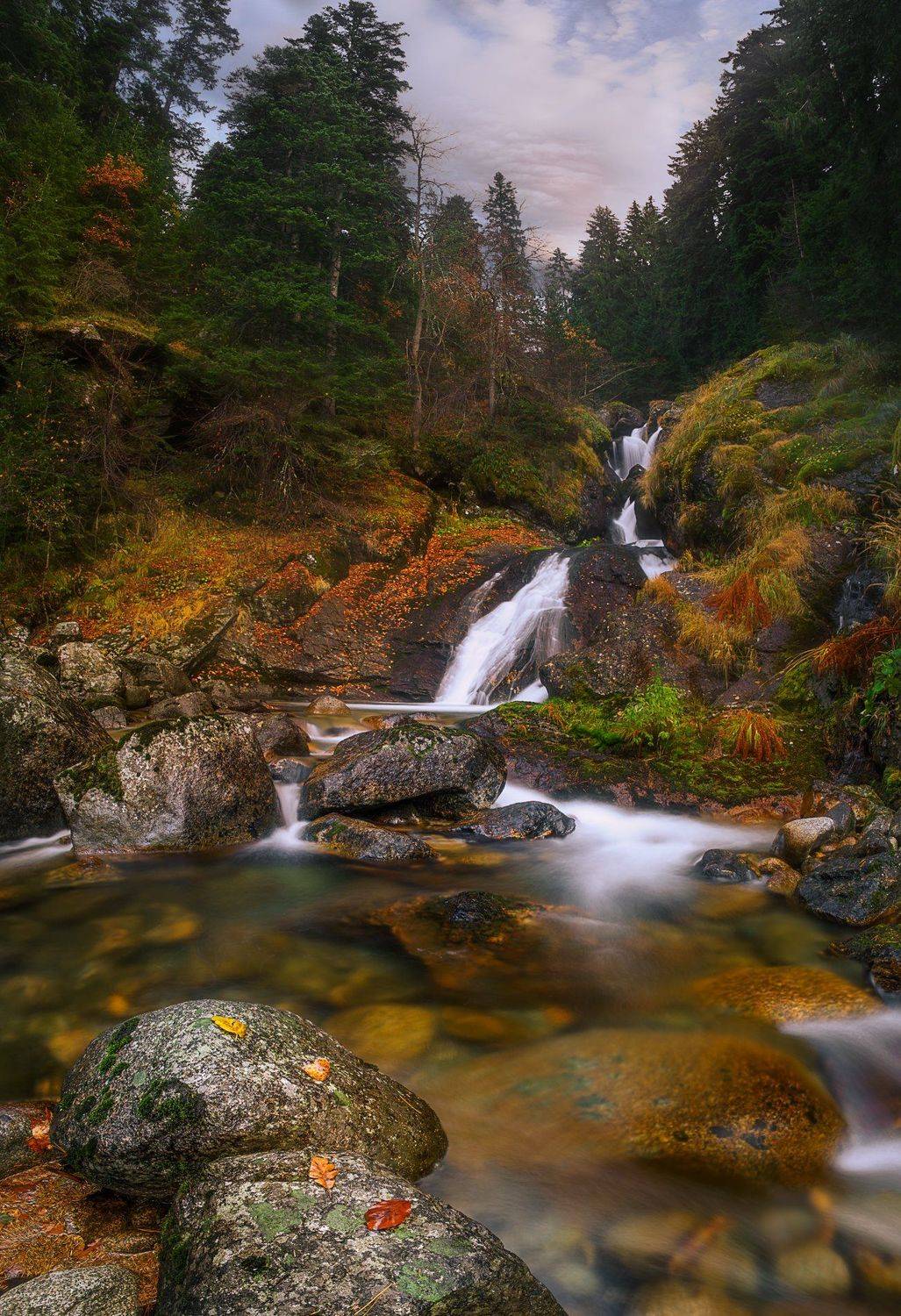 , Борислав Попов