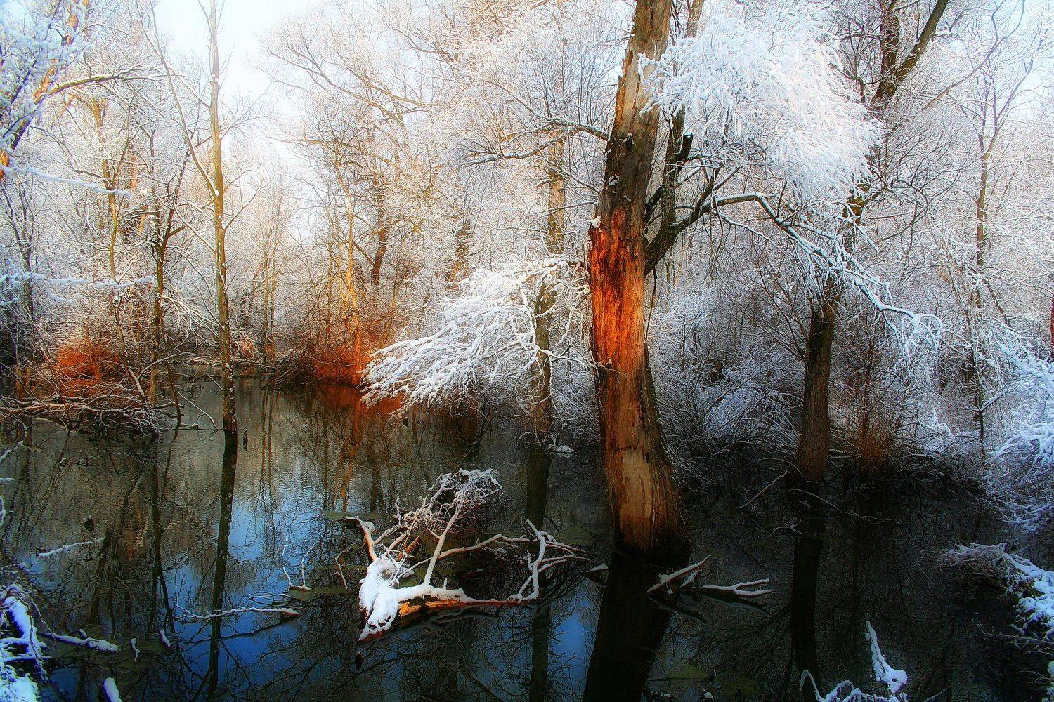 , Виктор Кириллов