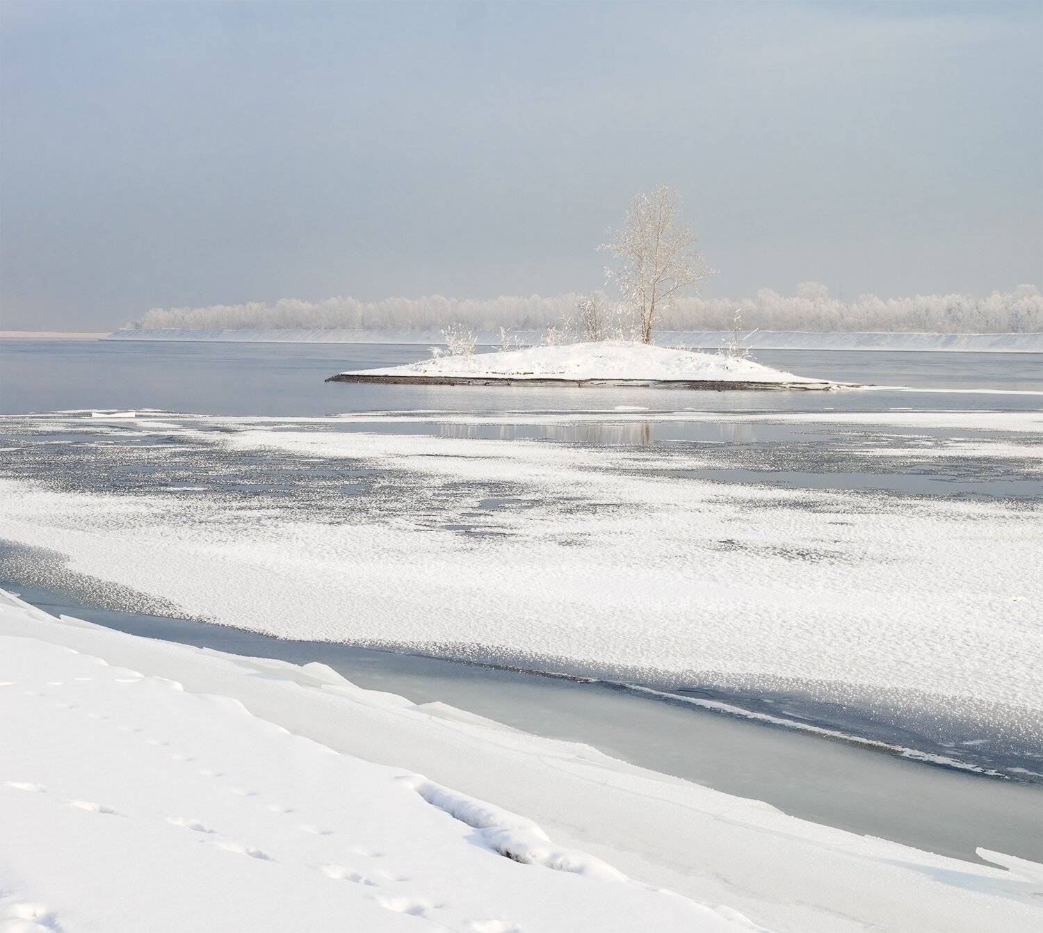 , Лещёнок Александр