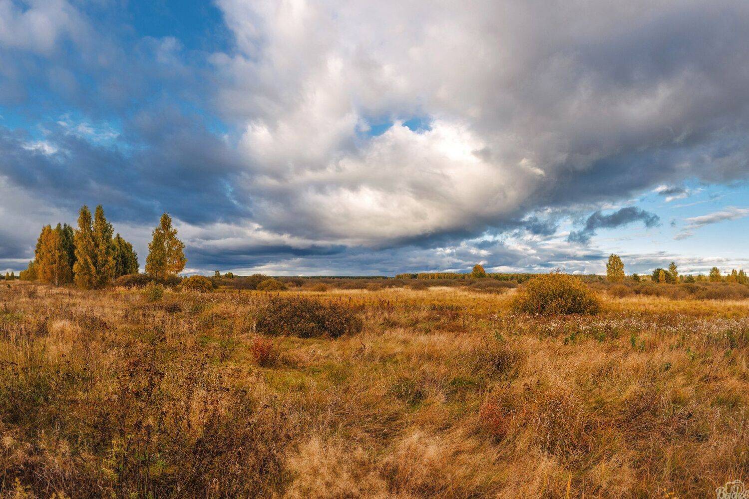 моршанск,моршанский район,тамбовщина,тамбовская область,мутасьево, Сергей Вьюнов