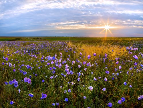 Фоторепортаж – «Степное Ставрополье»