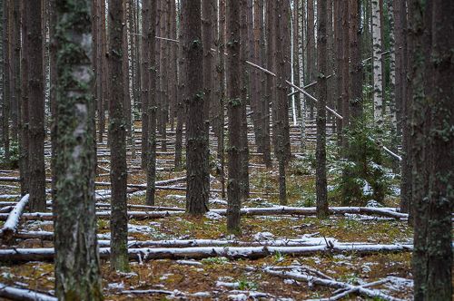 Pro макияж поздней осени