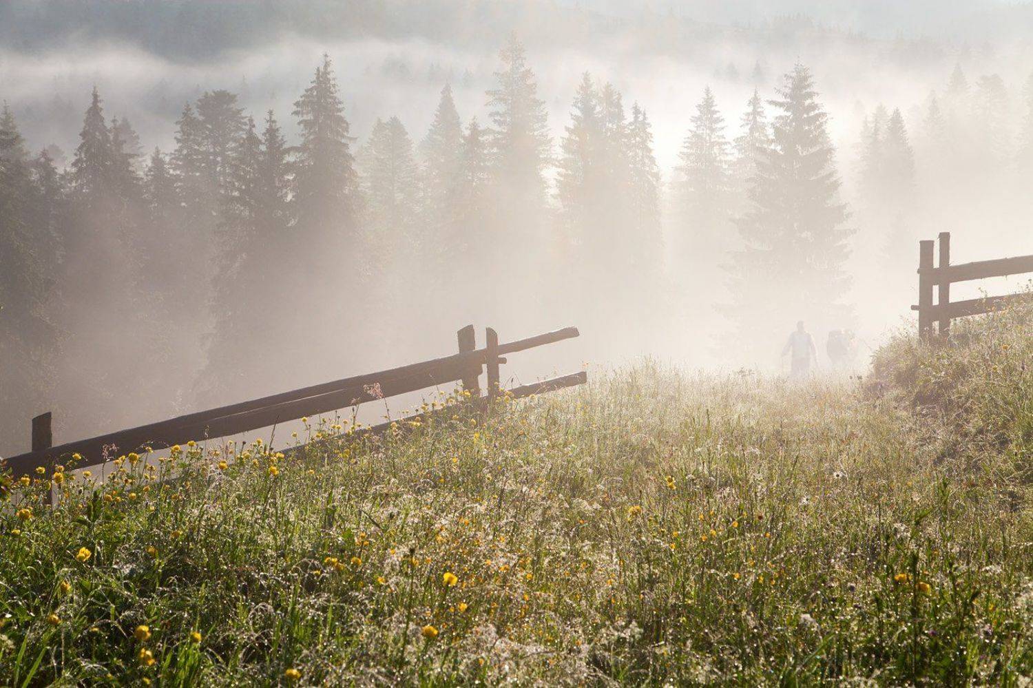 , Юлия Рублевская