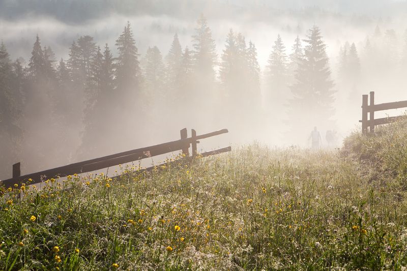 На полонину... фото превью