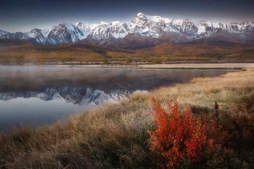 Перед рассветом