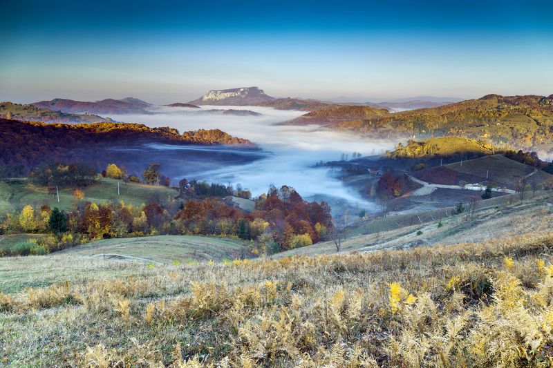 morning,mist,fog,colors,apuseni,romania,autumn,fall, When you wake up in the morning :) фото превью