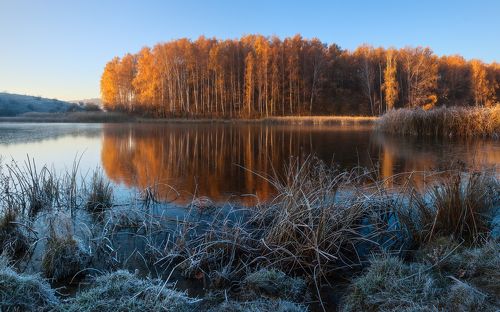 Autumn colors