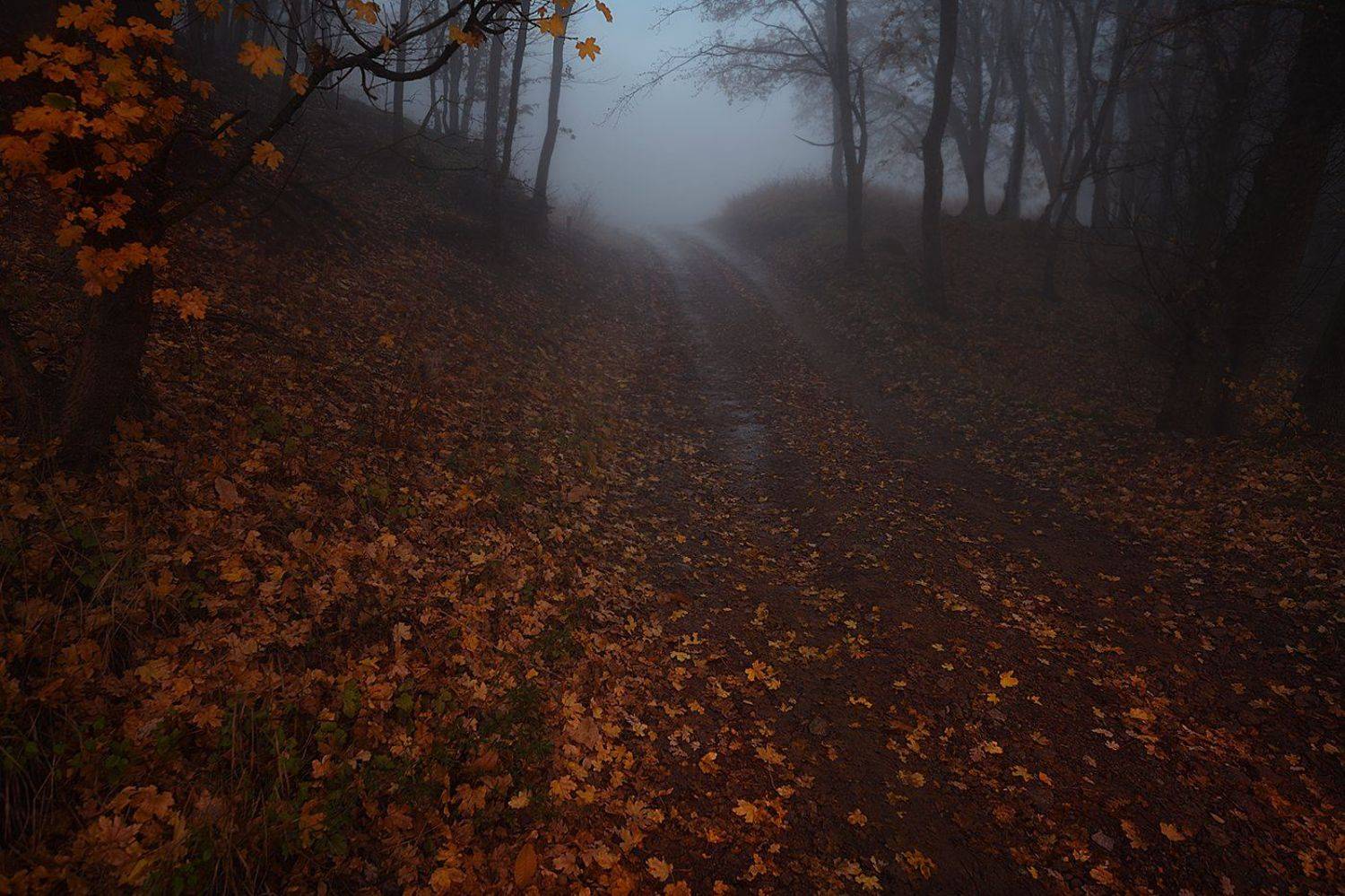 горы, дорога, осень, туман, Вьюшкин Игорь