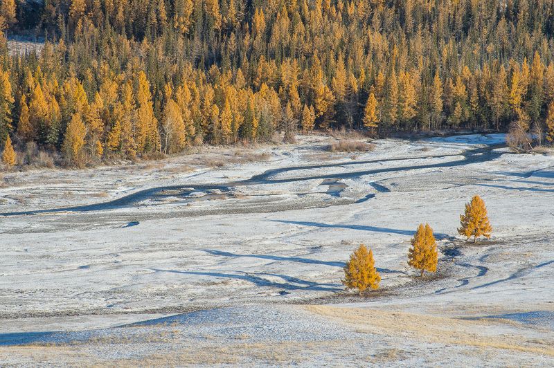 Три богатыря фото превью