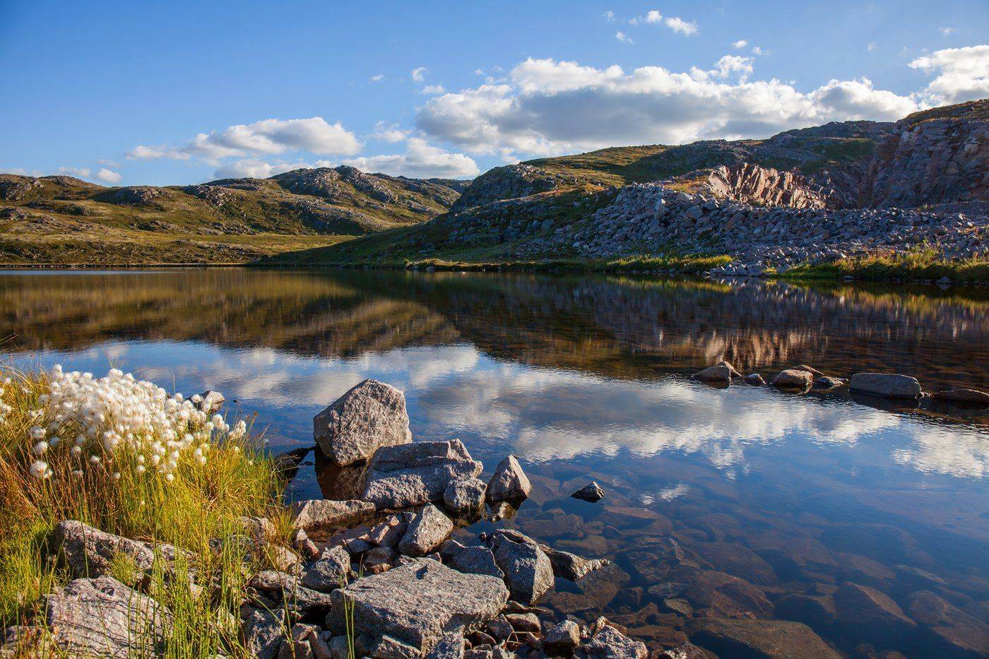 териберка, мурманская область, кольский полуостров, тундра, фототур, озеро, пушица, Арсений Кашкаров