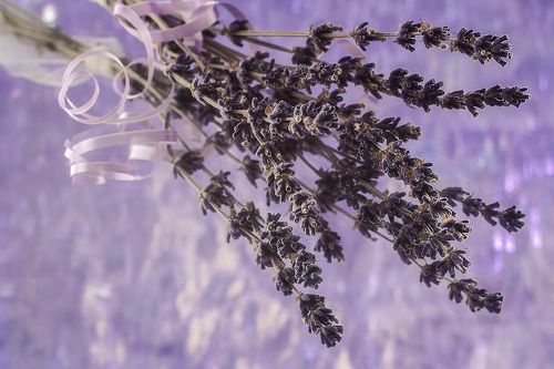 Аромат лаванды