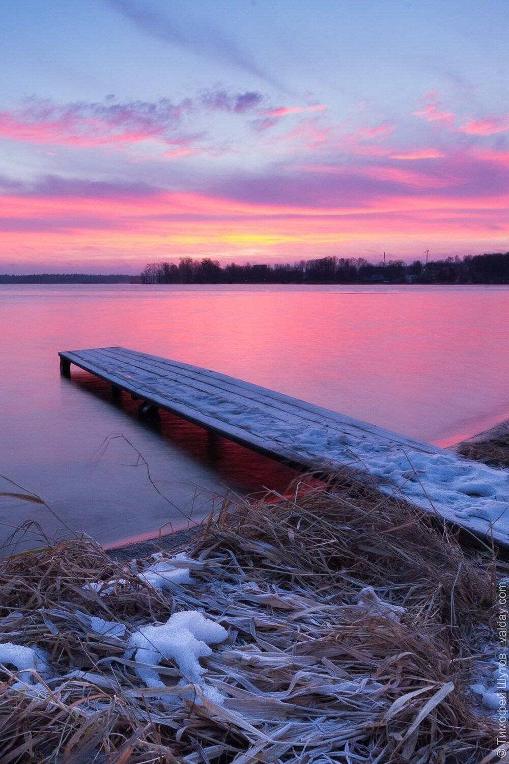 , Тимофей Шутов