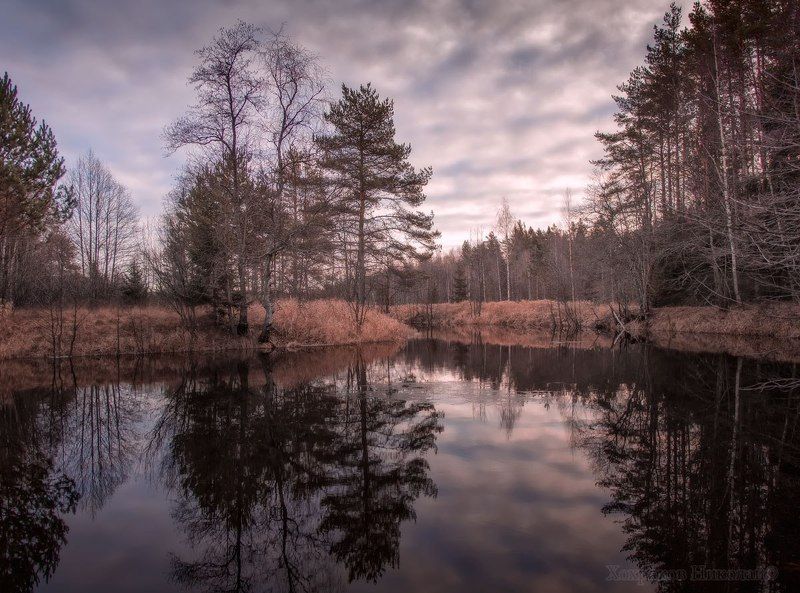 ноябрьское зеркало... фото превью