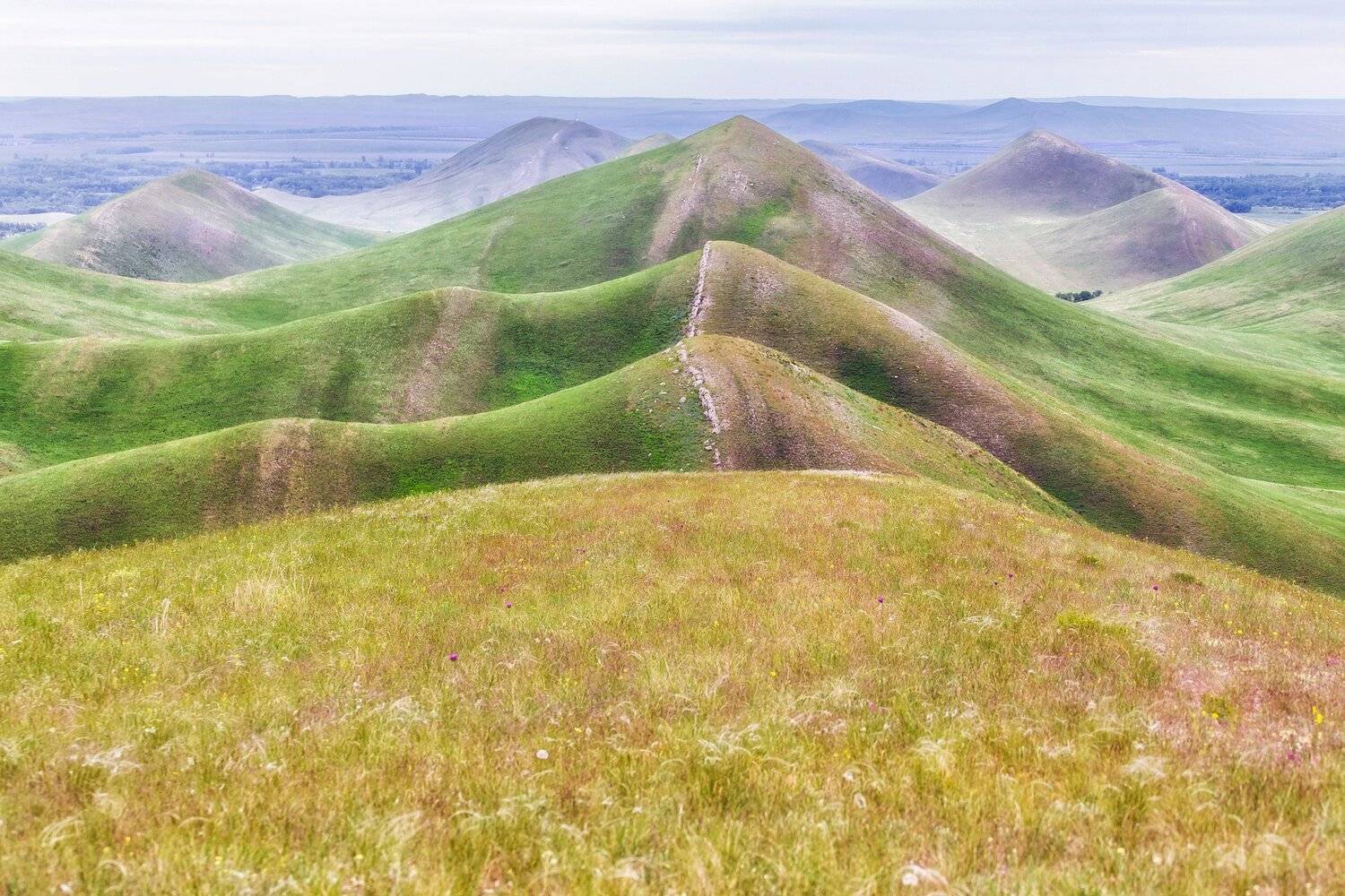 , Павел Сагайдак